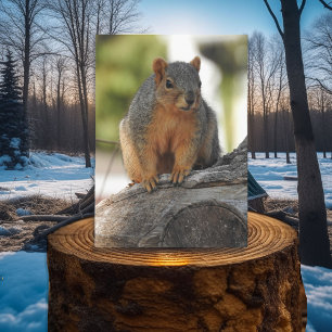 squirrel puns